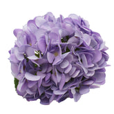 Butterfly Craze Purple Artificial Hydrangeas - Faux Silk Flowers For Wedding Bouquets, Fake Flower Arrangements, Home And Office Decorations - 3 Stems